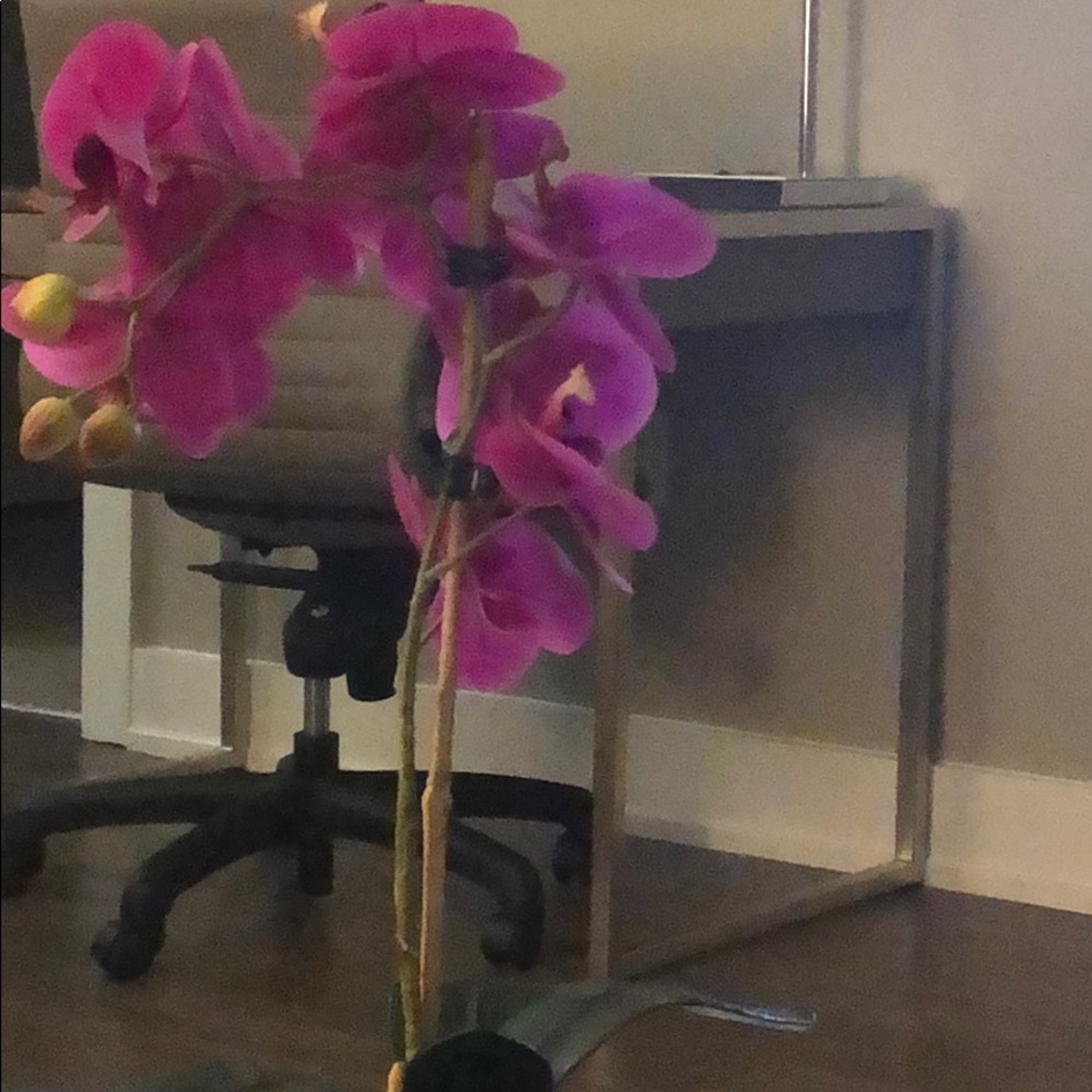 Meet your Posher, Maria